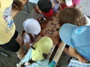 IMG-ae8510c4b561873a531e384a715bf17b-V